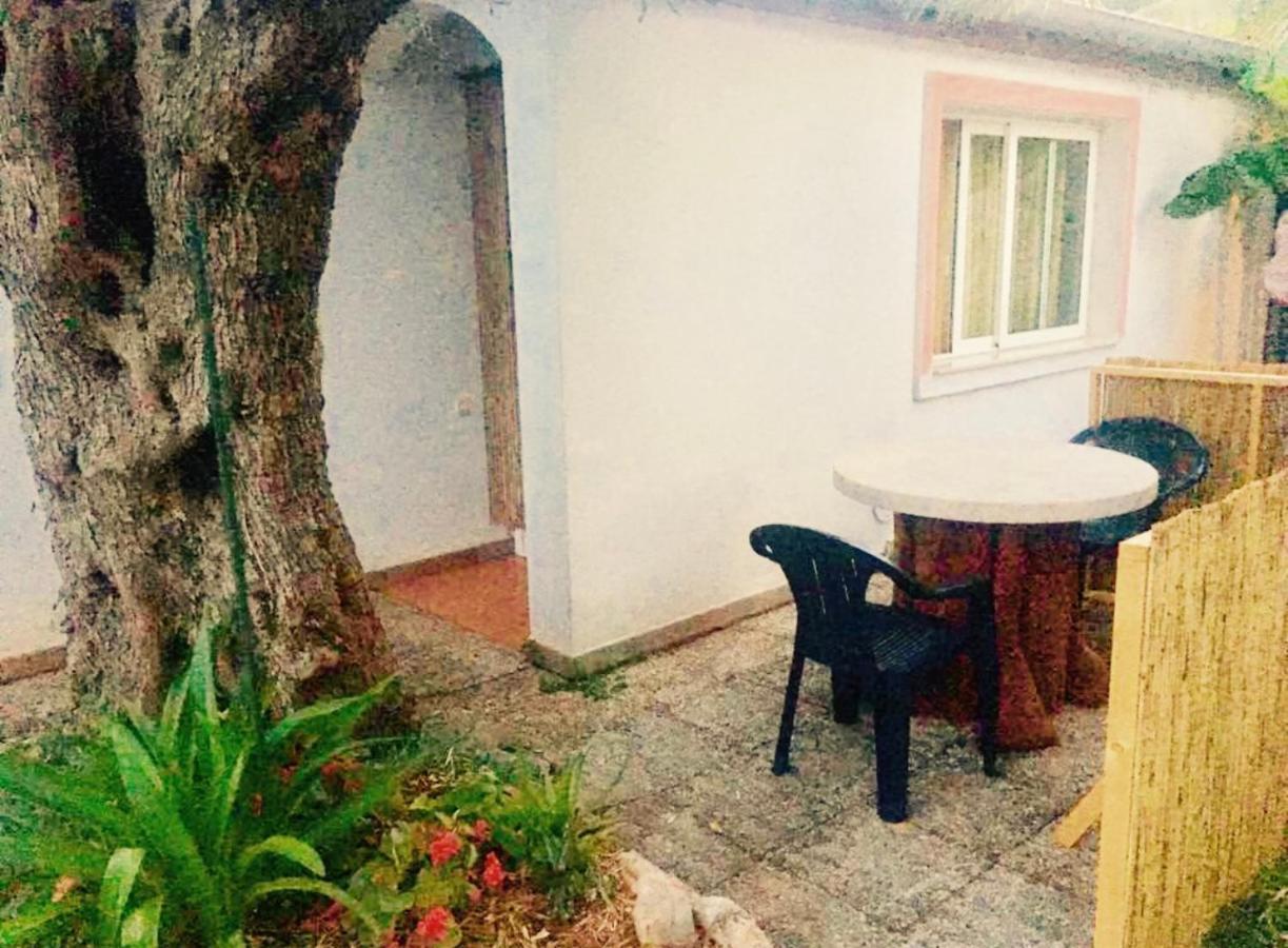 Olive Tree Apartments Ровин Екстериор снимка